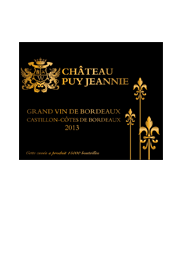 French fragaul Château Puy Jeannie 2013, AOC red wine