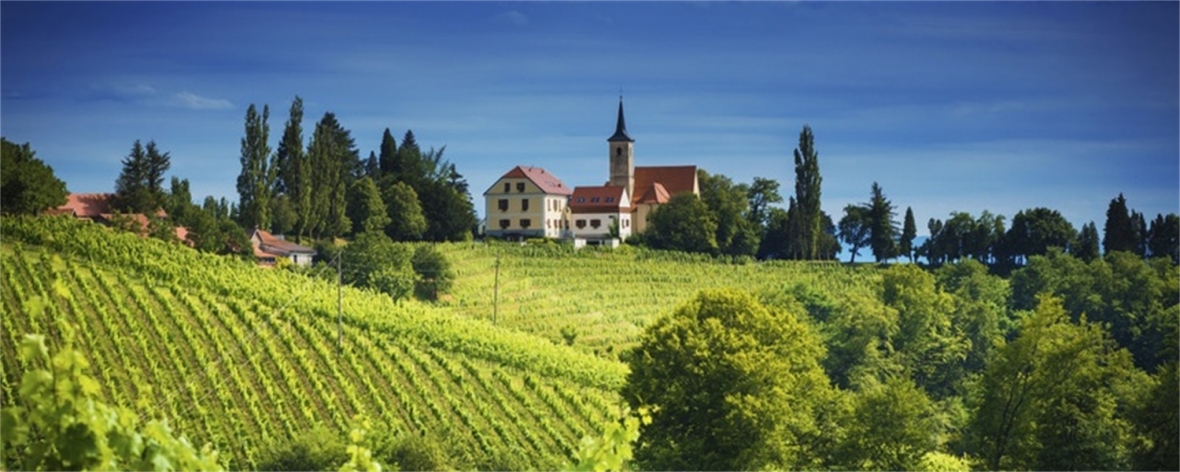 Penfolds History